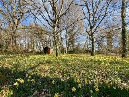 vente terrain 6769 m² la ferté-saint-cyr (41220)