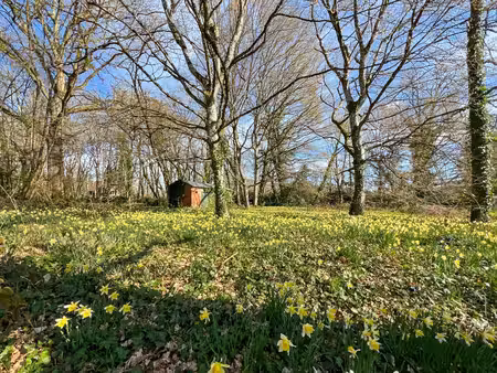 rare & divisible : terrain boisé de 6 300 m² entièrement constructible – la ferté-saint-cy