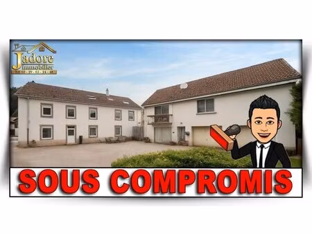 en vente immeuble de rapport 350 m² – 229 000 € |plainfaing