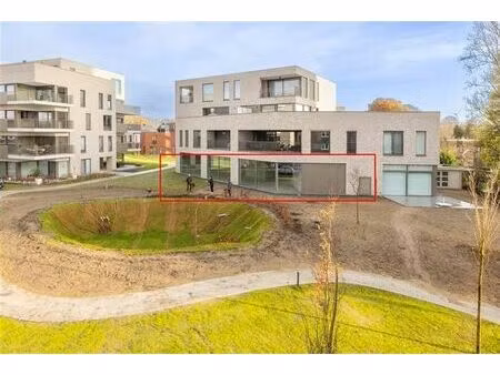 commerce - rez-de-chausée