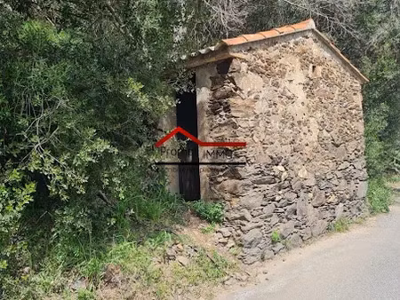 vente terrain 3982 m² à banyuls-sur-mer (66650)  25 000 €