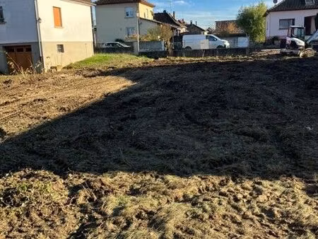 exceptionnel a rhinau terrain de 8 ares