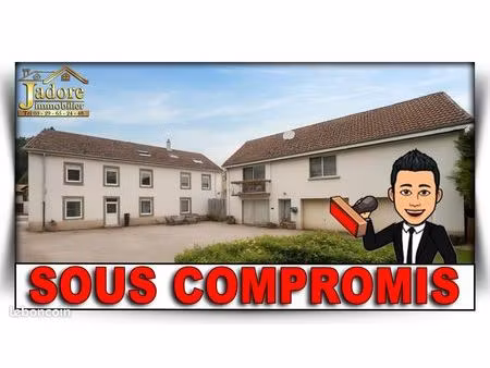 immeuble 350 m² plainfaing