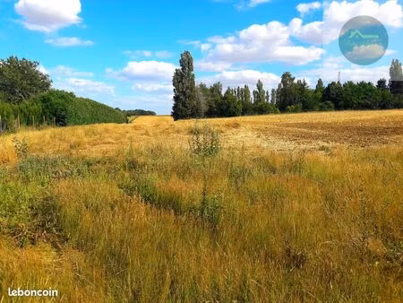 terrain 1000 m² vallery