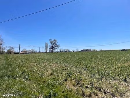 terrain 6631 m² bourrouillan