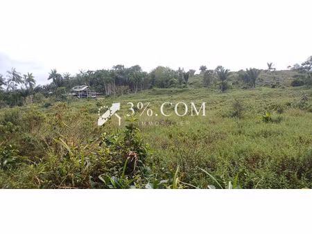 a vendre a kalany montsinery une parcelle agricole de 1ha