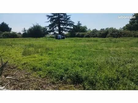 terrain constructible plat 2200m2