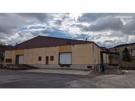 local/dépôt 5000m2