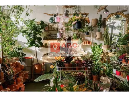 local commercial a louer et a vendre a argeles-sur-mer