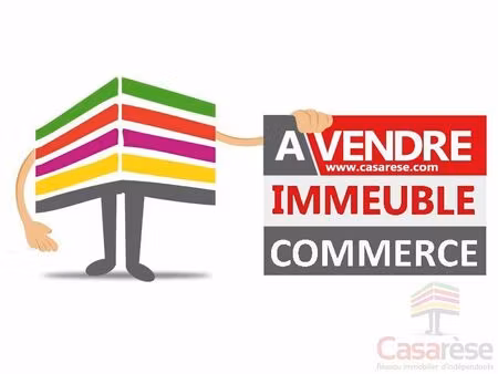 vente immeuble 300 m² tigy (45510)