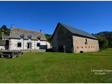maison de luxe à vendre à murat-le-quaire