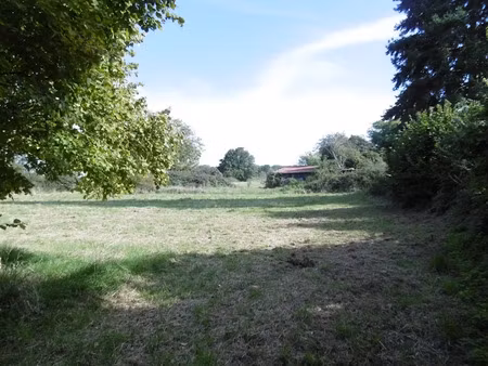 vente terrain 5640 m² à flavigny (18350)  28 000 €