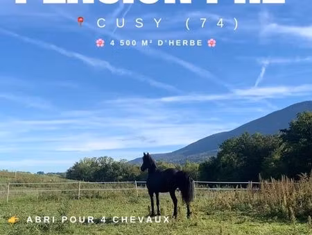 ? pension pré disponible à cusy (74) ?