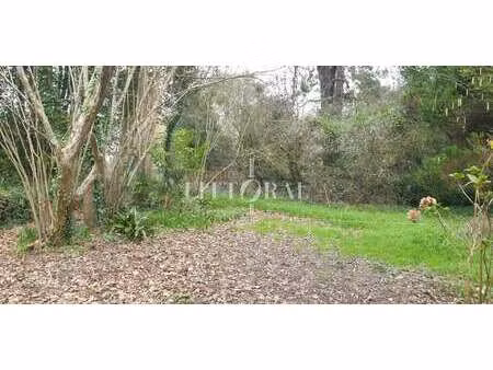 vente terrain à plougonvelin (29217) : à vendre / 1172m² plougonvelin