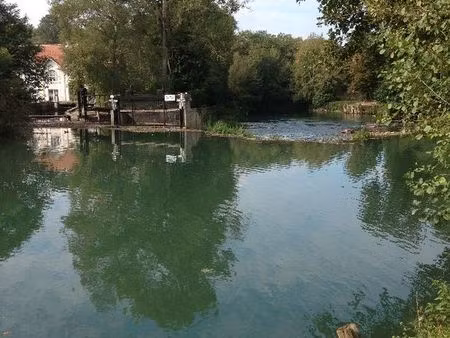 terrain en bord de rivière dans espace naturel