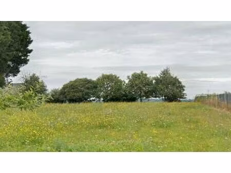 vente terrain à sion-les-mines (44590) : à vendre / 1065m² sion-les-mines