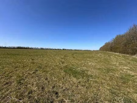 vente terrain à genneville (14600) : à vendre / 200000m² genneville