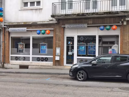 locaux commerciaux en centre ville