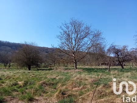 vente terrain à bâtir 1 715 m²