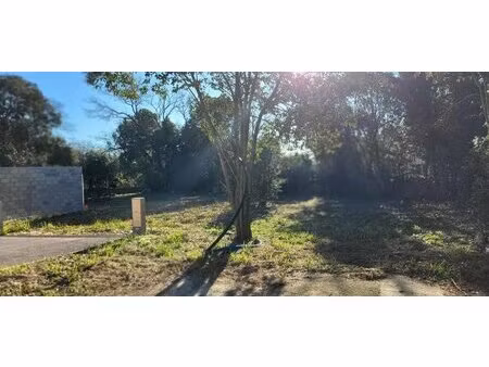 terrain constructible