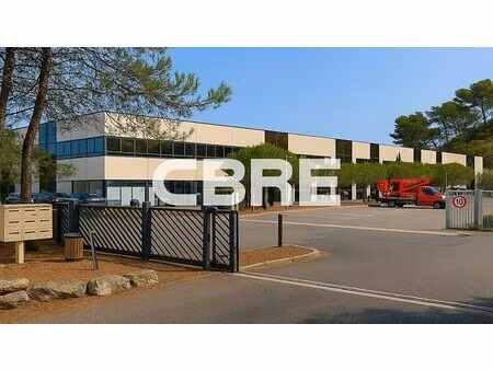 location bureau vallauris 485 m²