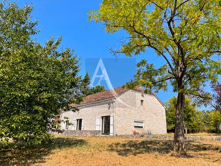 grange en pierre aménagée sur un joli terrain + dépendance