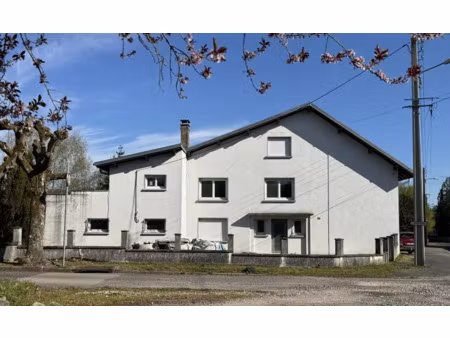 vente maison 7 pièces 200 m² à cirey-sur-vezouze (54480)  169 300 €