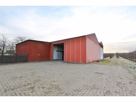 ruime stockageruimte met frigoloodsen