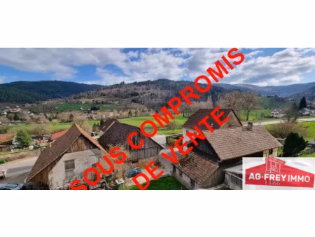 a vendre maison avec 3 appartements  jardins  caves et garag