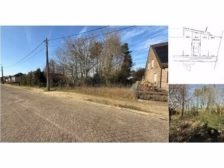 terrain à vendre à schoolstraat lot 7 grobbendonk (rbt02902)