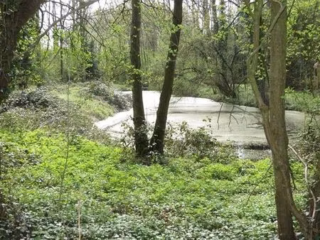 terrain en zone naturelle