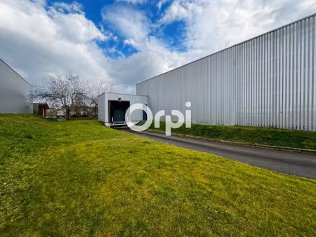 vente locaux professionnels 506 m² à saint-symphorien-sur-coise (69590)  460 000 €