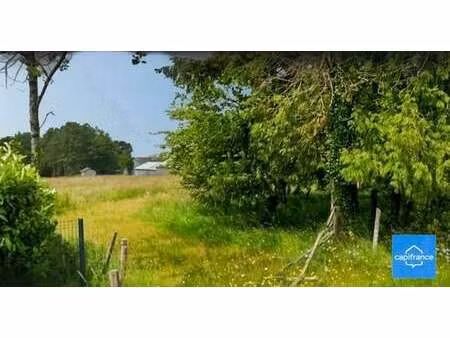 vente terrain à monteneuf (56380) : à vendre / 3420m² monteneuf