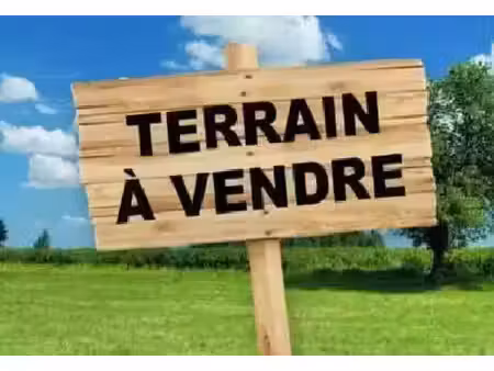 vente terrain 962 m² saint-denis-sur-loire (41000)