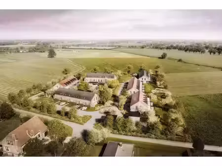 zuiderkroon