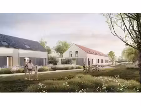zuiderkroon