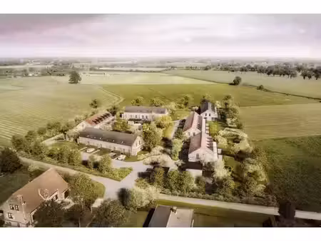 zuiderkroon