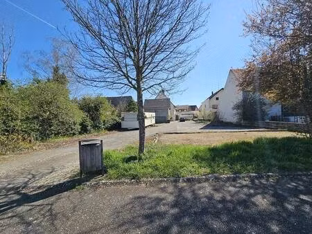 ottmarsheim fort potentiel investisseur