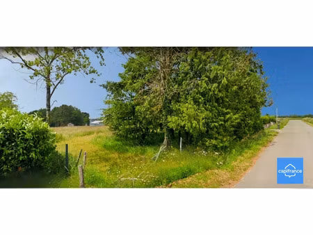 terrain à vendre monteneuf 3420m2 82 000€