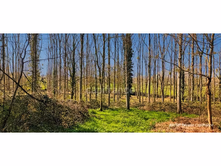 terrain à vendre pance 18756m2 42 000€