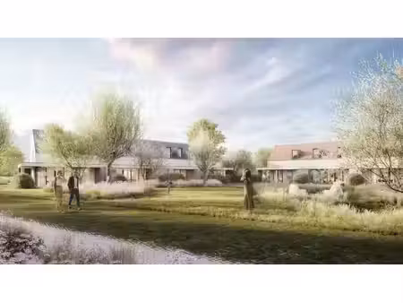 zuiderkroon