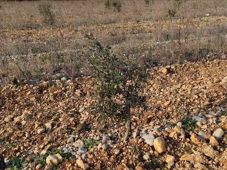 vente terrain à rochegude (26790) : à vendre / 5090m² rochegude