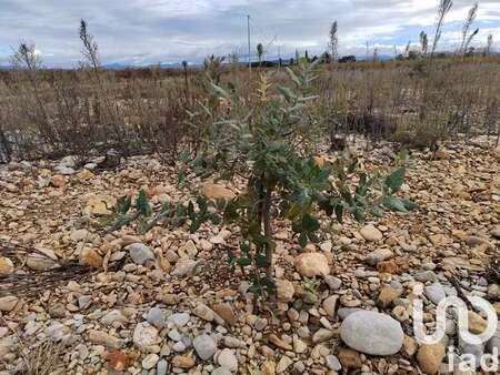 vente terrain à rochegude (26790) : à vendre / 8600m² rochegude