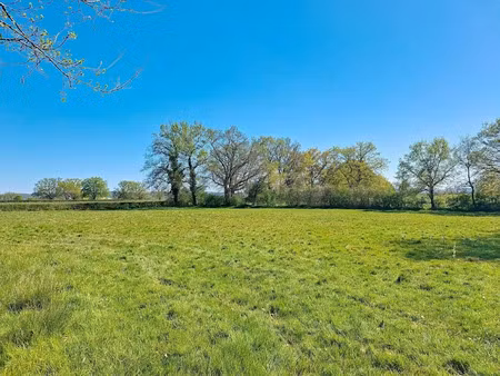 vente terrain à batir 8442 m² à vaux (03190)  44 500 €