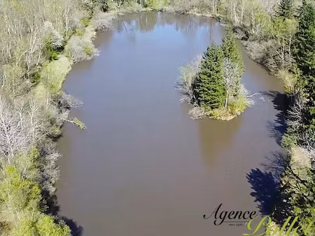 vente terrain 34500 m² à poilly-lez-gien (45500)  74 900 €