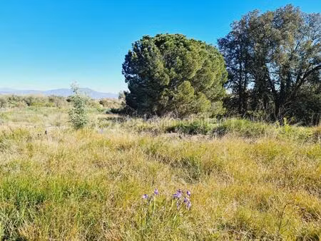 terrain de 1 383 m² à castelnou