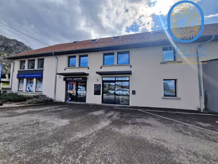 local professionnel avec 2 lots