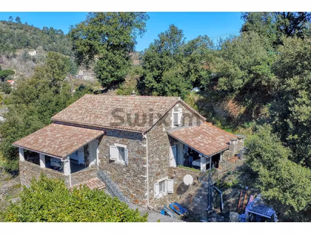 mas dominant le village