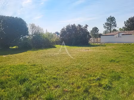 vente terrain 772 m² à notre-dame-de-monts (85690)  168 000 €