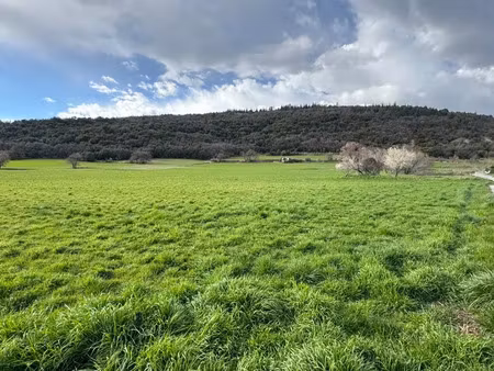 vente locaux professionnels 4 pièces 250 m² à le brusquet (04420)  103 129 €